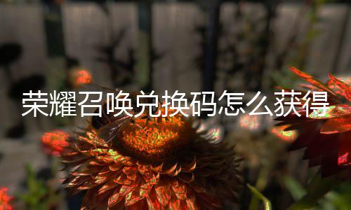 码怎么获码汇新增不同渠道荣耀兑换得 兑换召唤总